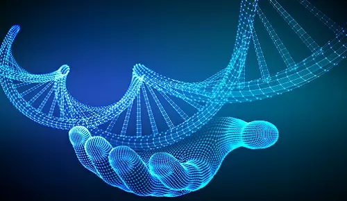 ¿Qué es la epigenética? ¿Qué es la epigenética?