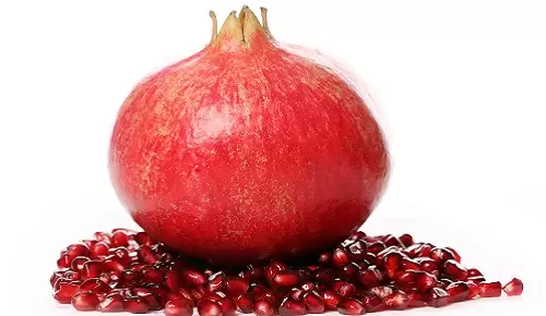 ¿Para qué sirve el ácido gálico?