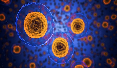 La pérdida de proteostasis como causa de envejecimiento La pérdida de proteostasis como causa de envejecimiento