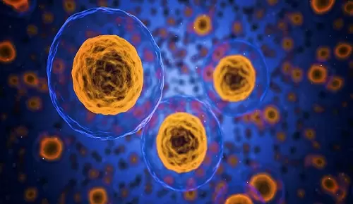 La pérdida de proteostasis como causa de envejecimiento La pérdida de proteostasis como causa de envejecimiento