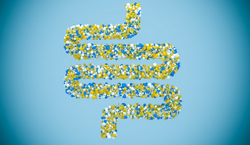 Microbiota y envejecimiento Microbiota y envejecimiento