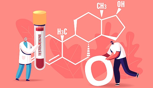 ¿Cómo afecta la disminución de la testosterona a la salud del hombre? ¿Cómo afecta la disminución de la testosterona a la salud del hombre?