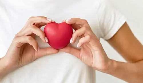 El corazón tiene su propio ritmo circadiano El corazón tiene su propio ritmo circadiano
