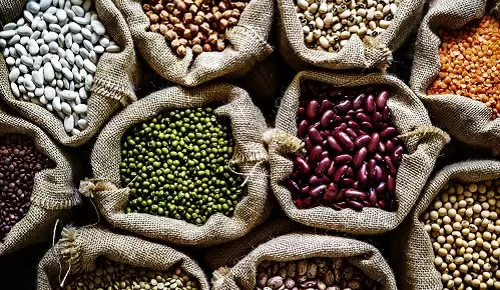 ¿Qué comer para alargar los telómeros?