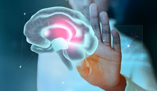 ¿Cómo evitar el deterioro cognitivo? ¿Cómo evitar el deterioro cognitivo?