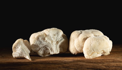 Propiedades y contraindicaciones de la melena de león