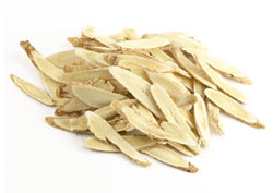 Astragalus membranaceus