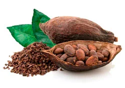 Cacao
