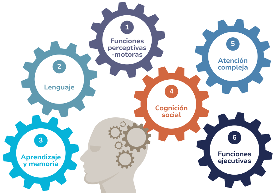Funciones cognitivas