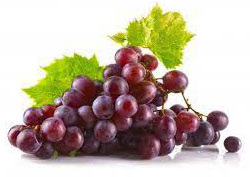 Resveratrol